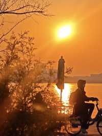 魔都落日秘境滴水湖懸日最佳打卡機位大公開!