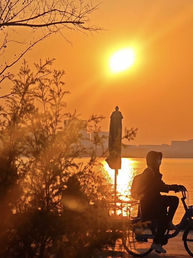 魔都落日秘境滴水湖懸日最佳打卡機位大公開! 魔都落日秘境滴水湖懸日最佳打卡機位大公開!