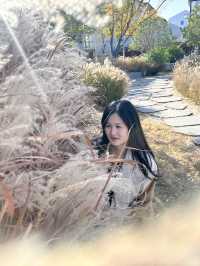 上海旅超|浦東citywalk巨好逛的潮流街區