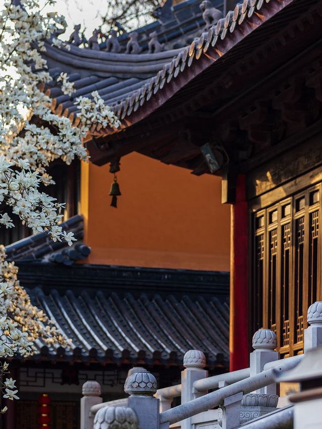 冬日限定南京包車遊太惬意啦 冬日限定南京包車遊太惬意啦