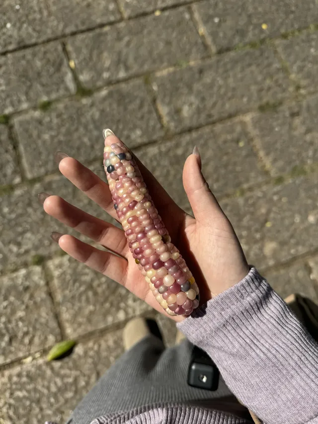 孕期旅行雲南｜沙溪古鎮、麗江 悠閒假期～