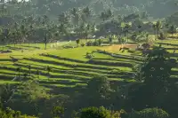 印尼｜巴厘島&龍目島上山下海旅遊行程攻略