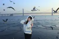 關於大連的初冬記憶