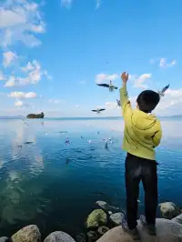 昆明週末|被海鷗和天空之境包圍超治癒