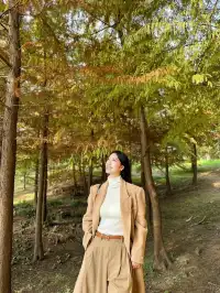 終於等到了12月的南京