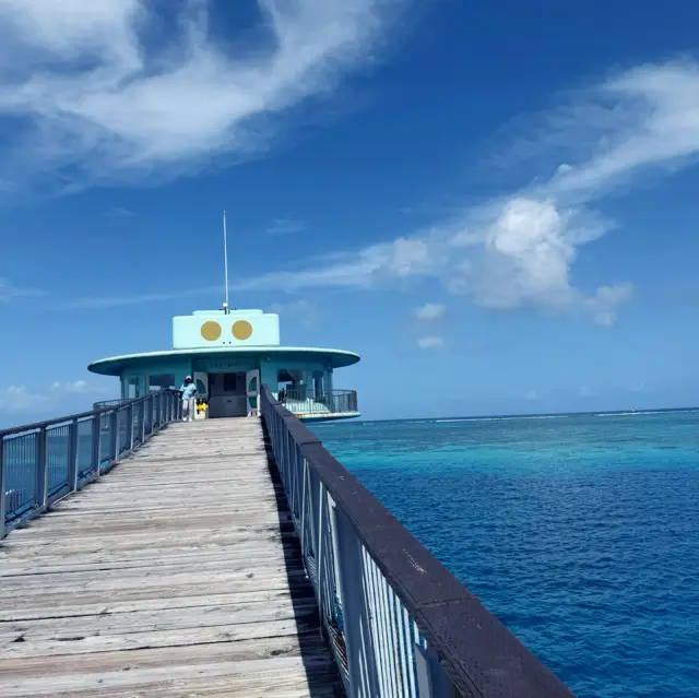 Guam Fish Eye Marine Park: A Fun and Easy Introduction to the Underwater World