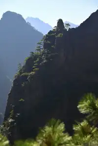 黃山(二) | 松與石