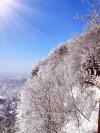 12月-2月來郴州莽山的!存下吧超全的!小眾玩雪地必衝!