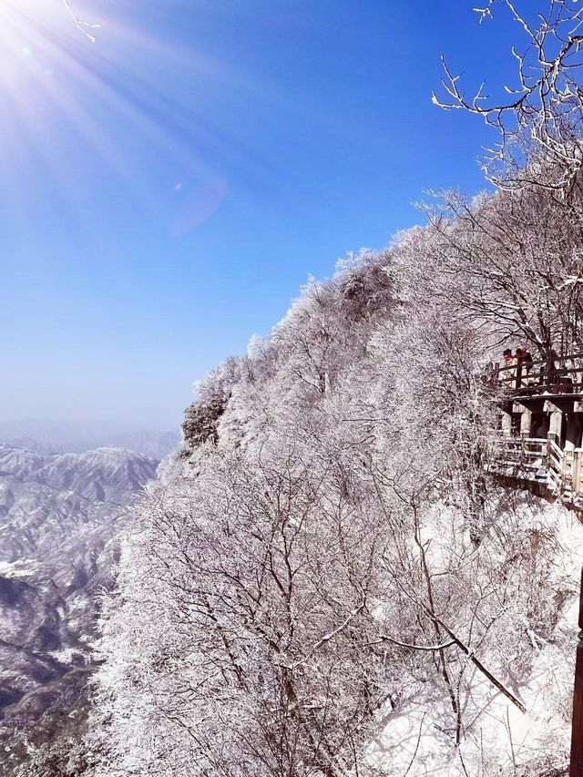 12月-2月來郴州莽山的!存下吧超全的!小眾玩雪地必衝! 12月-2月來郴州莽山的!存下吧超全的!小眾玩雪地必衝!