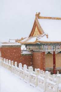 瀋陽故宮的雪太絕了!冬日限定版紅牆白雪,美到窒息!