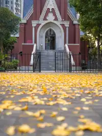 12.02實拍｜上海銀杏教堂已封神，可參觀