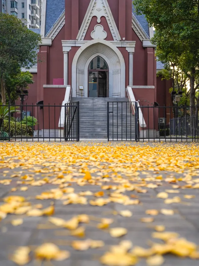 12.02實拍｜上海銀杏教堂已封神，可參觀