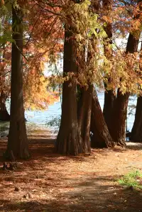獨自旅行| 7天6晚,在雲南