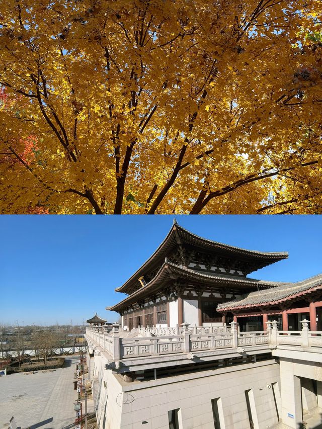 廊坊冬日秘境大公開！這6個小眾地拍照絕了