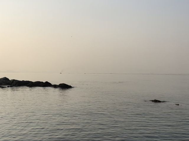 煙台養馬島避寒|清素逸居的治癒慢時光 煙台養馬島避寒|清素逸居的治癒慢時光