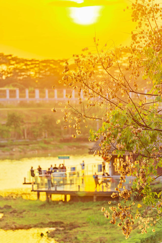 南寧拍照天花板｜藍天建築相思小鎮秒出大片