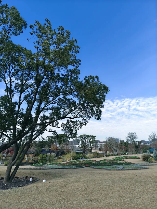 上海植物園一日遊 上海植物園一日遊