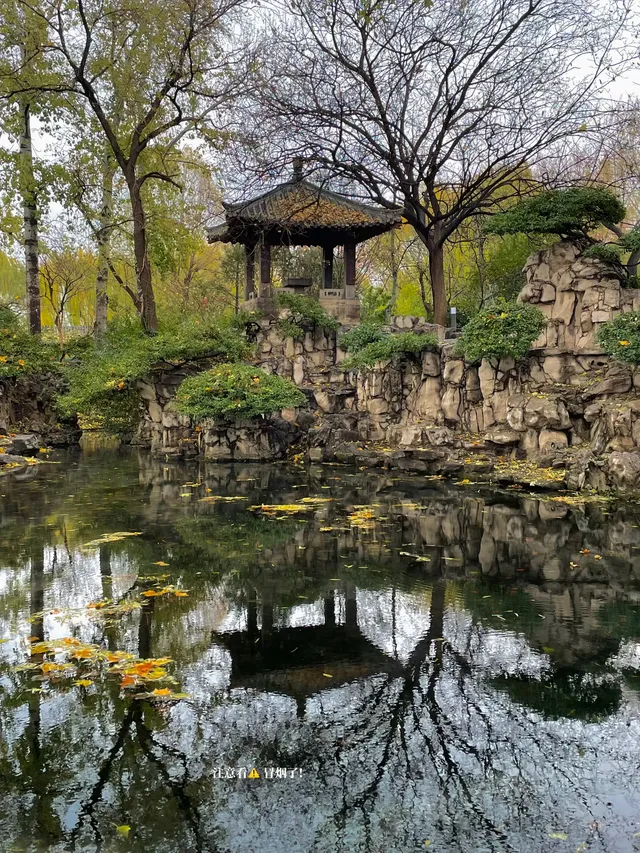 老舍：上帝把秋和冬全賜給了濟南