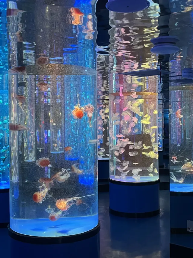 沉浸式墜入深海星穹，治癒與出片雙滿分～