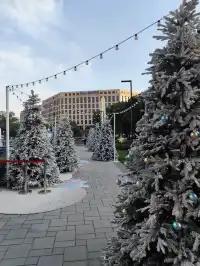 薈聚把北歐雪國搬到魔都,12月份活動攻略