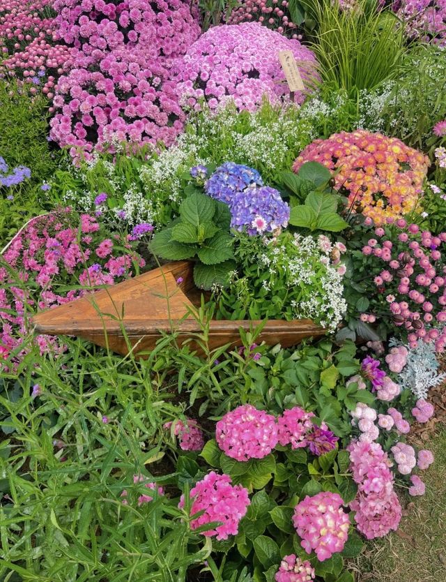 深圳仙湖植物園|遛娃寶藏地打卡賞花絕佳去處 深圳仙湖植物園|遛娃寶藏地打卡賞花絕佳去處