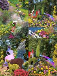 上海共青菊韻秘境|秋日限定森林賞花指南