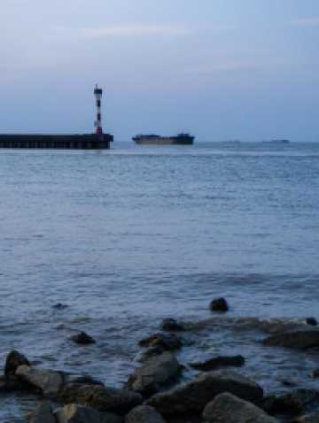 免費且24h開放!上海小眾江景公園,騎行觀鳥太絕了