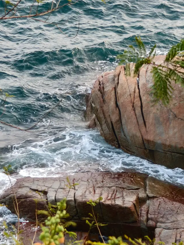 Subway Direct to Shenzhen Xiaomeisha Super Beautiful Seaside Walk Route