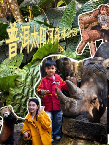 푸얼 태양하 숲공원 | 우림 모험 완전 정복