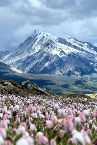 もう川西の春が待ちきれない