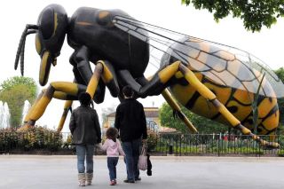 Roger Williams Park Zoo Unveils Giant Insect Exhibit