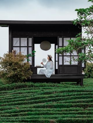 เดินทางไปกวางโจวได้ภายในเวลาเพียง 1.5 ชั่วโมง! วิวจากหน้าต่างสุดตระการตา มองเห็นไร่ชาหลายพันไร่!