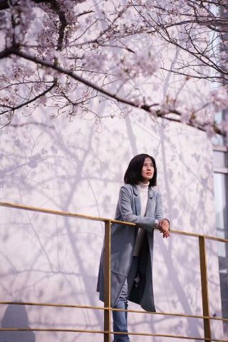 동제대학교 벚꽃｜백년 명문의 분홍빛 로맨스