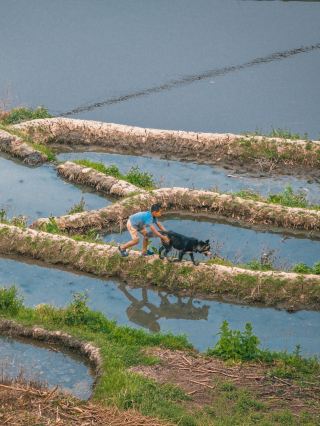 My impression of the Ailao Mountains in Yunnan was changed by the Nanuo Rice Terraces.