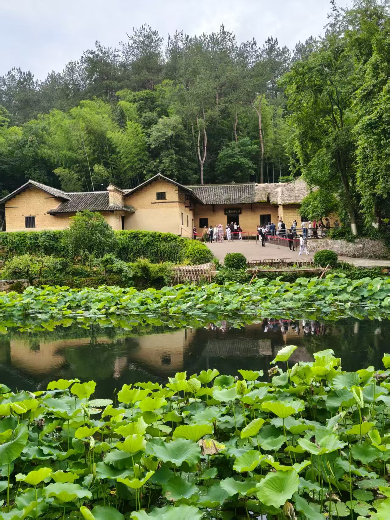 Bukit-bukit hijau menyembunyikan kampung halaman, dan pesona merah memenuhi Shaoshan.