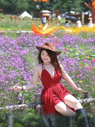 Where to go near Beijing on the weekend 2??｜3-hour drive to a fairytale grassland