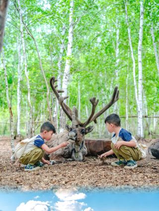 連続で3年間子連れで呼倫貝爾を満喫！この7つの情報格差は必ず