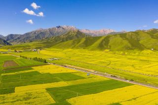 A golden fairytale beneath the Qilian Mountains! Zhangye Biandukou