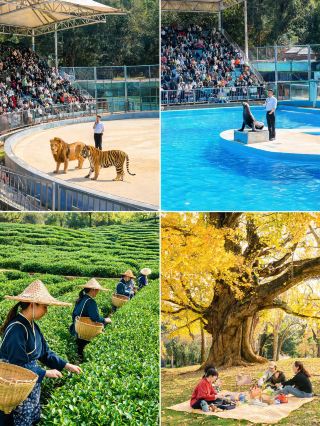 A practical guide for visiting Huzhou Zhongnan Baicaoyuan, enjoy a relaxed local experience