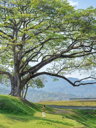 Chiang Mai! I'll fall in love with it again and again!