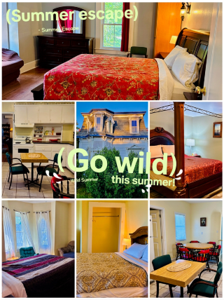 So we went to Digby for whale watching recently! 🐋 Honestly, booking a place during peak season was such a headache, but we luckily found this old guesthouse and it turned out to be so good.

The house looks quite old from the outside but inside it’s super clean and well-kept. It has 5 bedrooms and a really nice kitchen. Since we had a big group, we just bought some groceries and cooked dinner together. It actually saved us quite a bit of money and was super fun! Felt like we were living in a big family home.

I actually woke up early on the second day (very rare for me lol) and walked around the yard. The morning air was so fresh and misty, with wild flowers and apple trees everywhere. And guess what? Two cute neighbor's cats—one black and one white—just strolled over and started cuddling my legs! 🐱 They were so friendly and not shy at all.

Our schedule was pretty chill: we did the whale watching, visited a local winery, and the rest of the time we just relaxed. It was so nice to not rush around for once.

Honestly, you don't need a luxury hotel to have a good trip. This cozy old house and the cute morning cats made my Digby trip so memorable. Definitely a 10/10 vibe! ✨