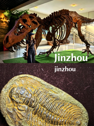 Liaoning’s hidden gem museum! It’s like a whole Jurassic Park