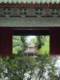 暑假帶娃避暑必去！西安碑林博物館遊玩全攻略