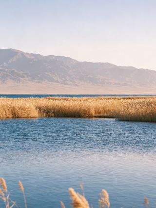 3-day summer escape guide to Koktokay, a cool hidden gem in Northern Xinjiang