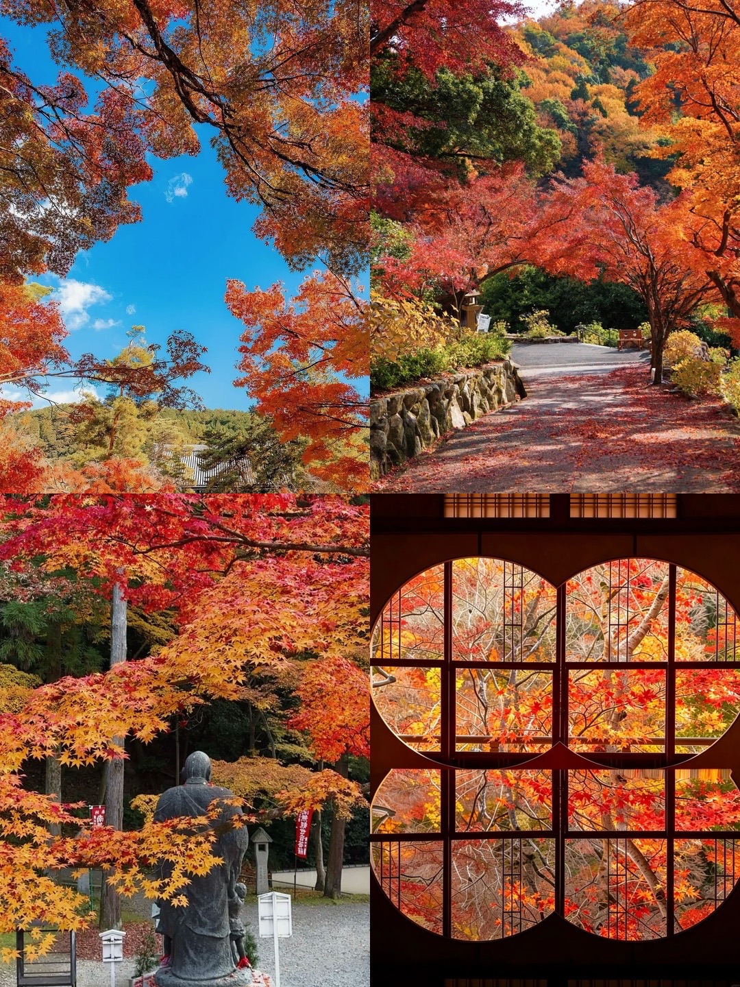 京都は素晴らしい。でも、もう行くのが怖い。なぜなら……
