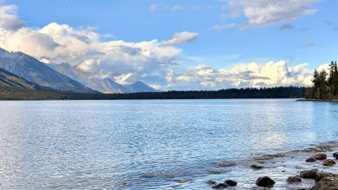 Jelajah Kilat Amerika 5 Hari, Cuma 6 Jutaan per Orang! 🇺🇸 — traveler post in Jackson