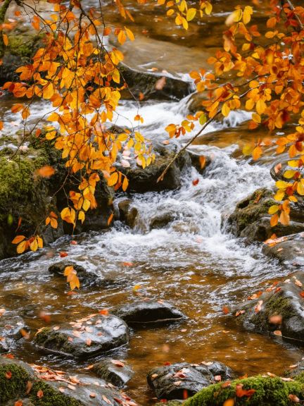 4-дневный осенний путеводитель по Греции — это просто восторг!