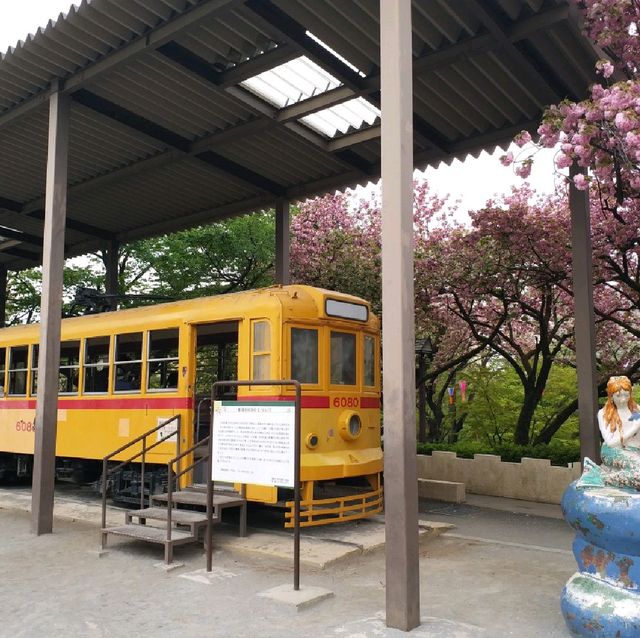 賞櫻名所 飛鳥山公園🌸