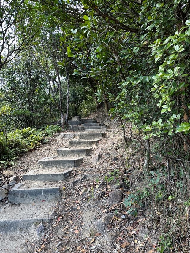 【新手行山路徑· 香港著名山峰.獅子山⛰️】