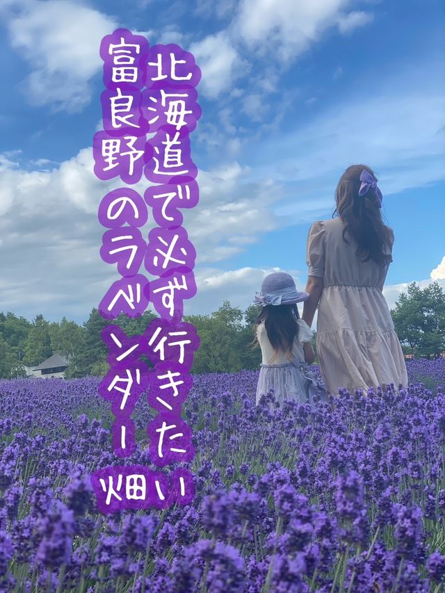 【北海道】札幌から日帰りも◎富良野のラベンダー畑へ